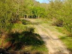 ПРОДАЮ ДОМ В ГАЛАХ ТОРГ ПРИВЕТСТВУЕТЬСЯ✅