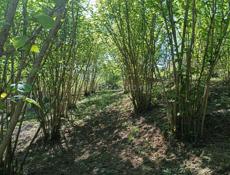 ПРОДАЮ ДОМ В ГАЛАХ ТОРГ ПРИВЕТСТВУЕТЬСЯ✅