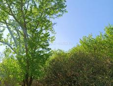 ПРОДАЮ ДОМ В ГАЛАХ ТОРГ ПРИВЕТСТВУЕТЬСЯ✅