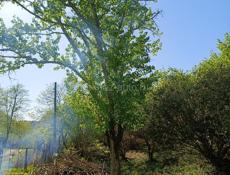 ПРОДАЮ ДОМ В ГАЛАХ ТОРГ ПРИВЕТСТВУЕТЬСЯ✅