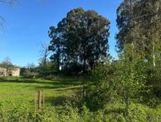 25 соток в Лидзаве 