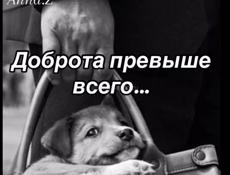 Продается комплект серебро детский 