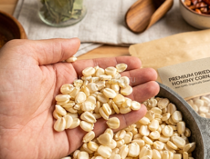 Кукуруза белая