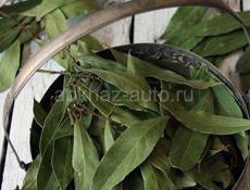 куплю сухой лавровый лист