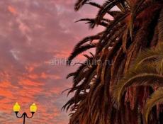 Ищу работу в Гудауте