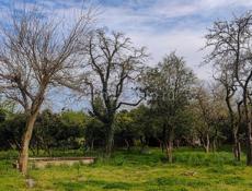 Бюджетные комнаты в Лдзаа, ул. Адамия 3