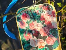 Продам растения  хвойные, лиственные, вечнозеленые 