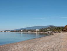 Сниму Квартиру