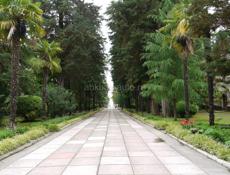 Сниму Квартиру