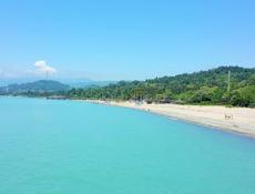 Сниму Квартиру