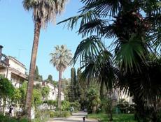 Сниму Квартиру