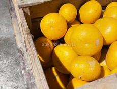 Грейпфрут 🍊