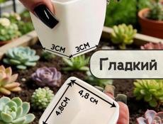 Продается цветок