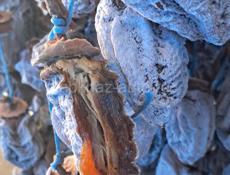 Сушка бичок