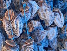 Сушка бичок