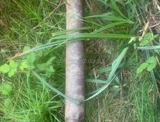 ТРУБЫ СОТКИ 30м