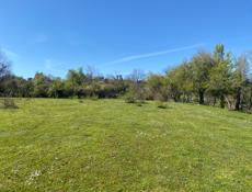 Гудаута приморск 