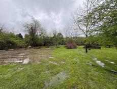 Нижняя эшера , срочно! 