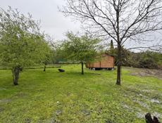 Нижняя эшера , срочно! 