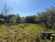 Участок 70 соток в колхиде