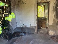 Участок 70 соток в колхиде