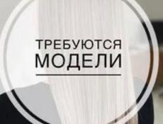 Нужны модели 