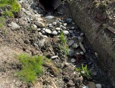 В Сухуме в районе Армейская продается участок 10 соток