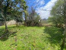 Сухум турбаза 