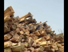 Продам колышки 