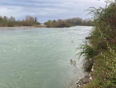 Участок 40 соток