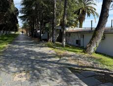 Сдам точку торговли у моря 