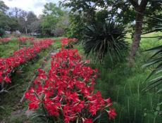 Продам участок 