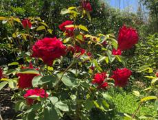 Продам участок 