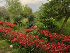 Продаю участок 