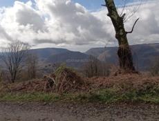 Ступичный подшипник левый передний