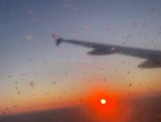 Оператор экскаватора 