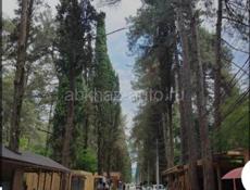 Кафе на кипариске