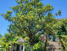 Продаю дом с земельным участком Агудзера