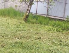 Покос тровф