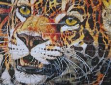 Продам или обменяю