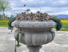 Садовый вазон 