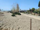 Сдаётся берег под летний бизнес