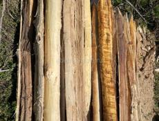 Колышки готовые четкие связь 9961888