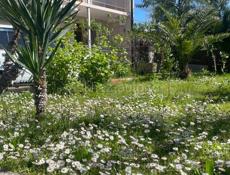 Требуется горничная в Цандрипш