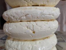 Свежий сыр домашний