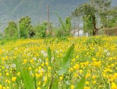 Участок 10соток