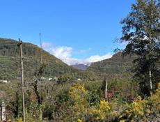 🔥Сухум 50 соток🔥