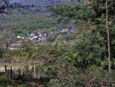 Братьев зантария 10 сотых 500 т