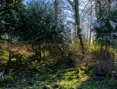 📌 УЧАСТОК КЫНДЫГ