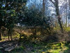 📌 УЧАСТОК КЫНДЫГ